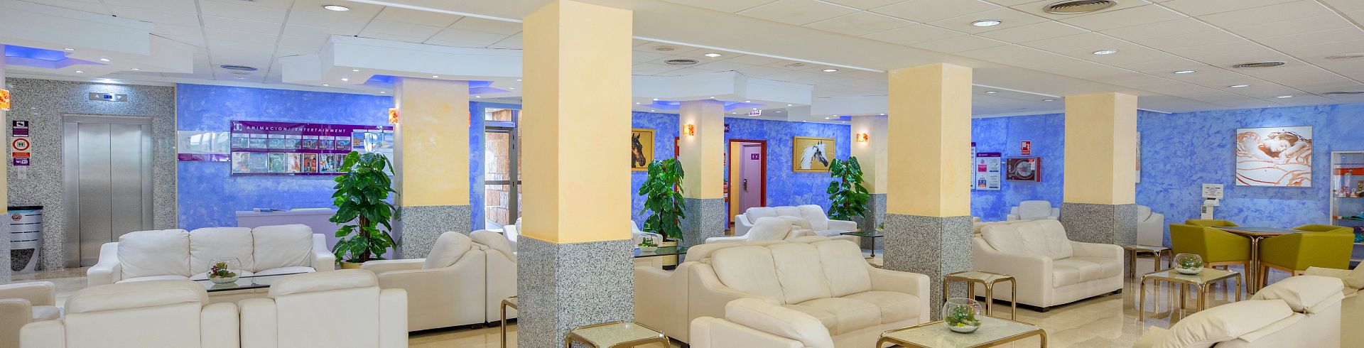 El Hotel Servigroup Nereo en imágenes