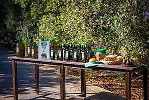 Servigroup Olive Oil
