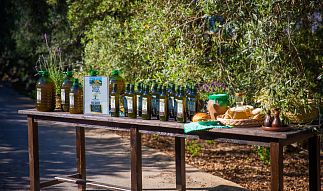 Servigroup Olive Oil