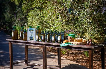 Servigroup Olive Oil