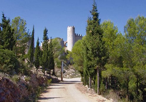 Route vers le château d'Alcoceber