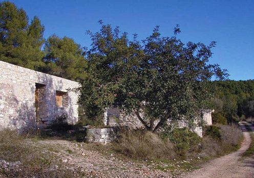 Corral de la viuda Alcoceber