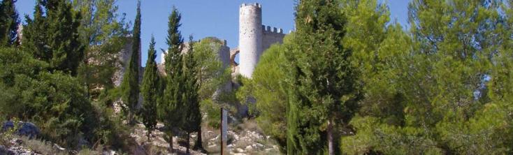 Route vers le château d'Alcoceber