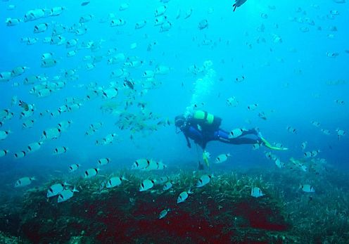 Mojacar Seabed