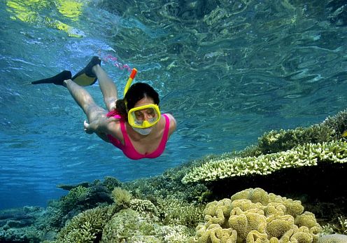 Snorkel Peñíscola