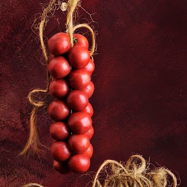 hanging tomato