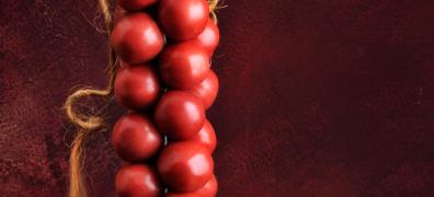 tomate suspendue
