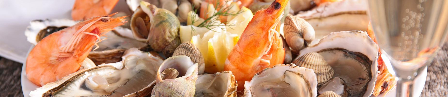 shellfish