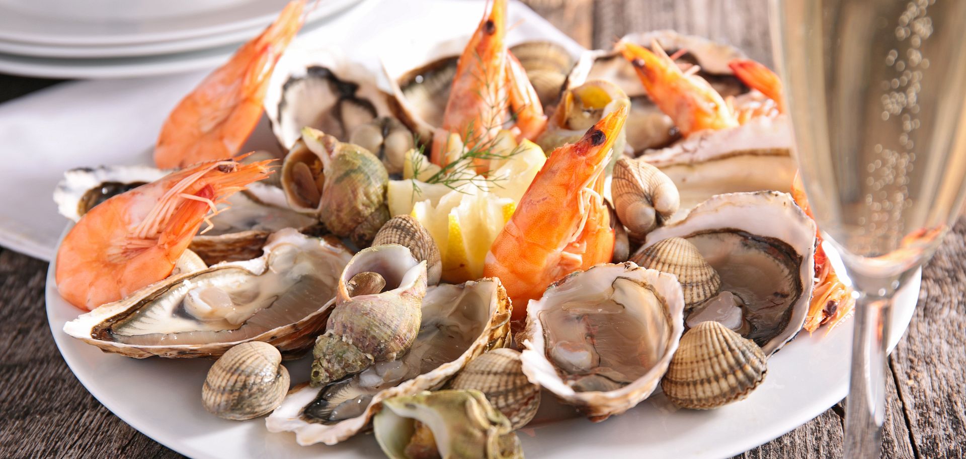 shellfish