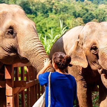 Terra Natura