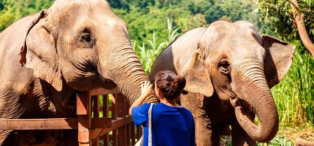 Terra Natura