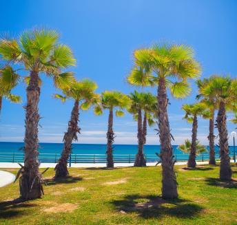 Plage Flamenca Orihuela
