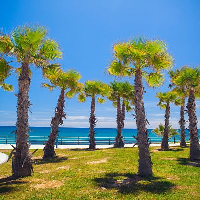 Playa Flamenca Orihuela
