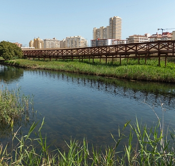 Marjal de Peñiscola