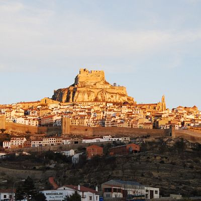 Morella