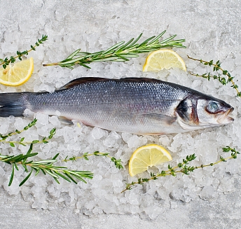 Tierra de pescadores