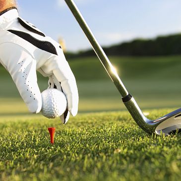 Golf offers