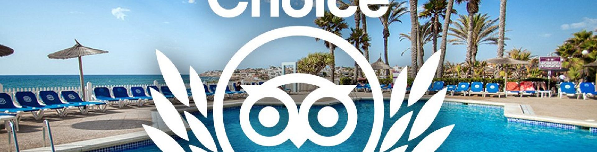 TripAdvisor Traveller´s Choice 2020