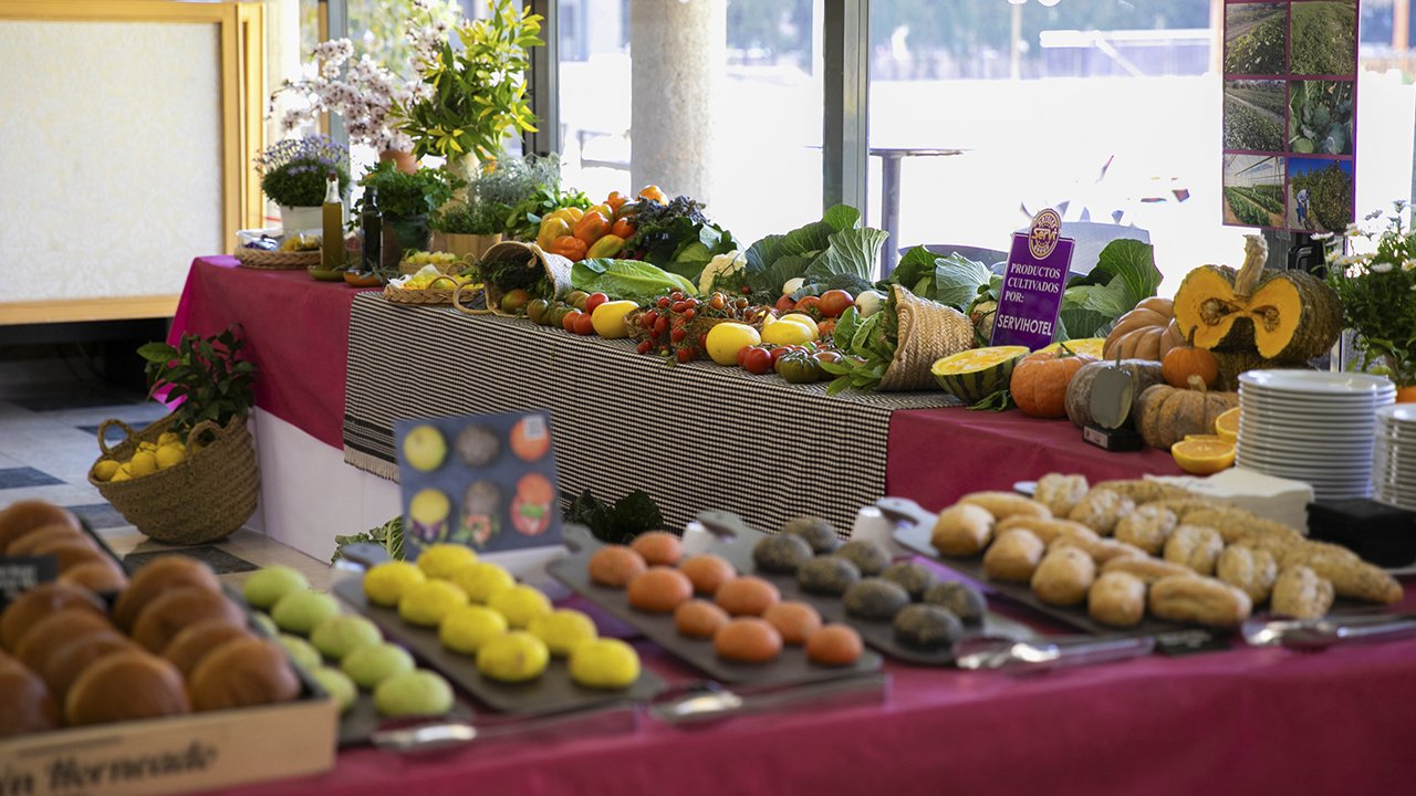 Buffet Servigroup Hotels