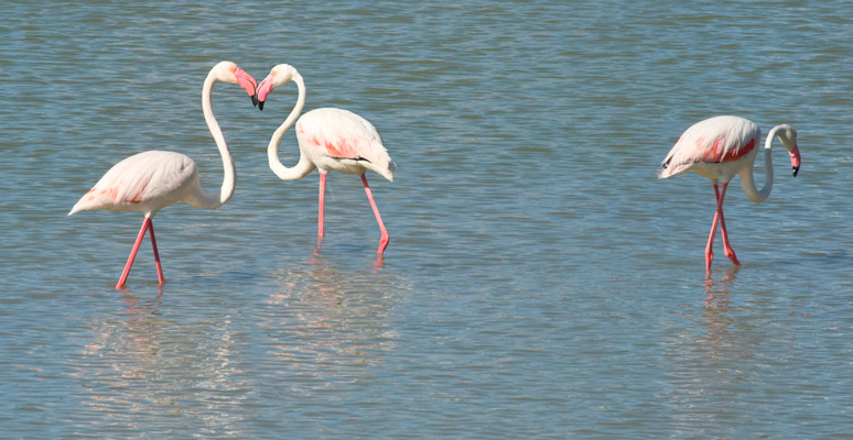 Salt water lagoon in Calpe
