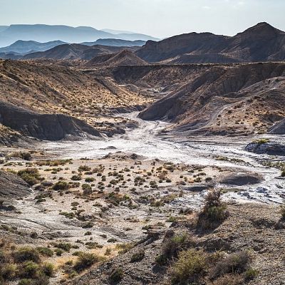 Tabernas Desert