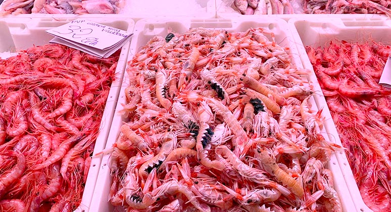 Fishmongers in Alicante