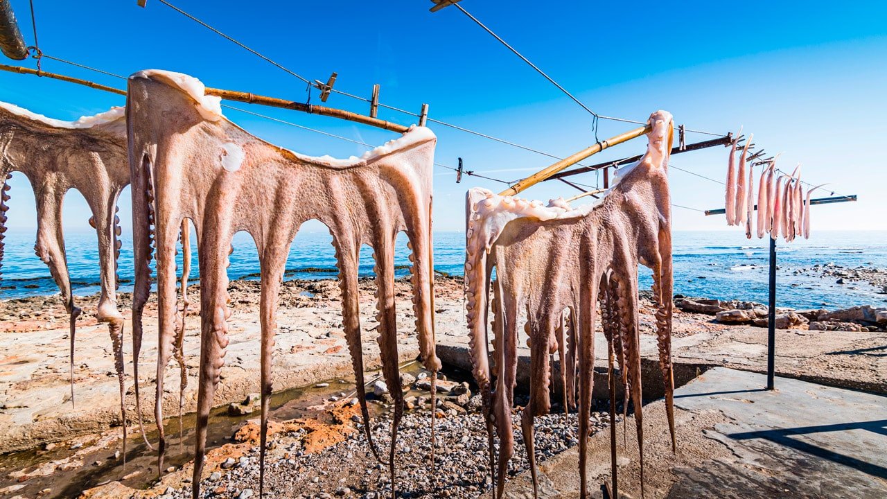 Poulpe séché au soleil selon la méthode traditionnelle à Dénia
