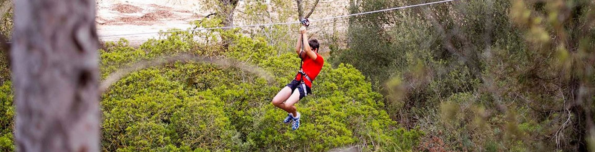 Adventure Park Forestal Park