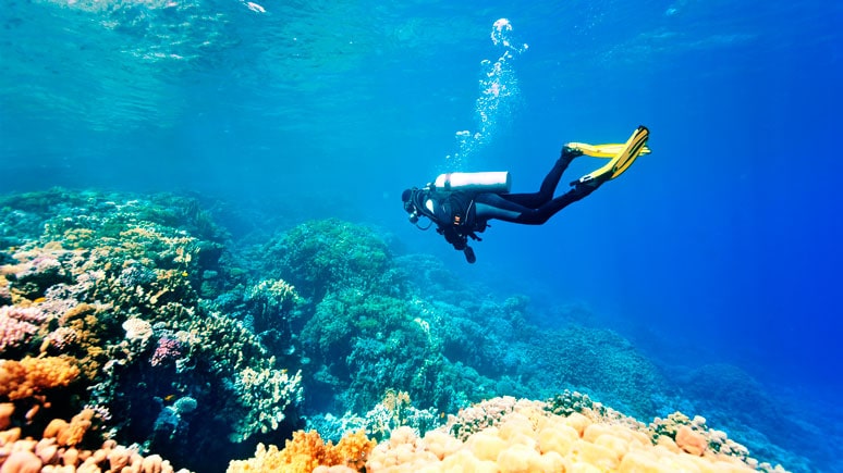 Diving in Benidorm during the December Bank holiday