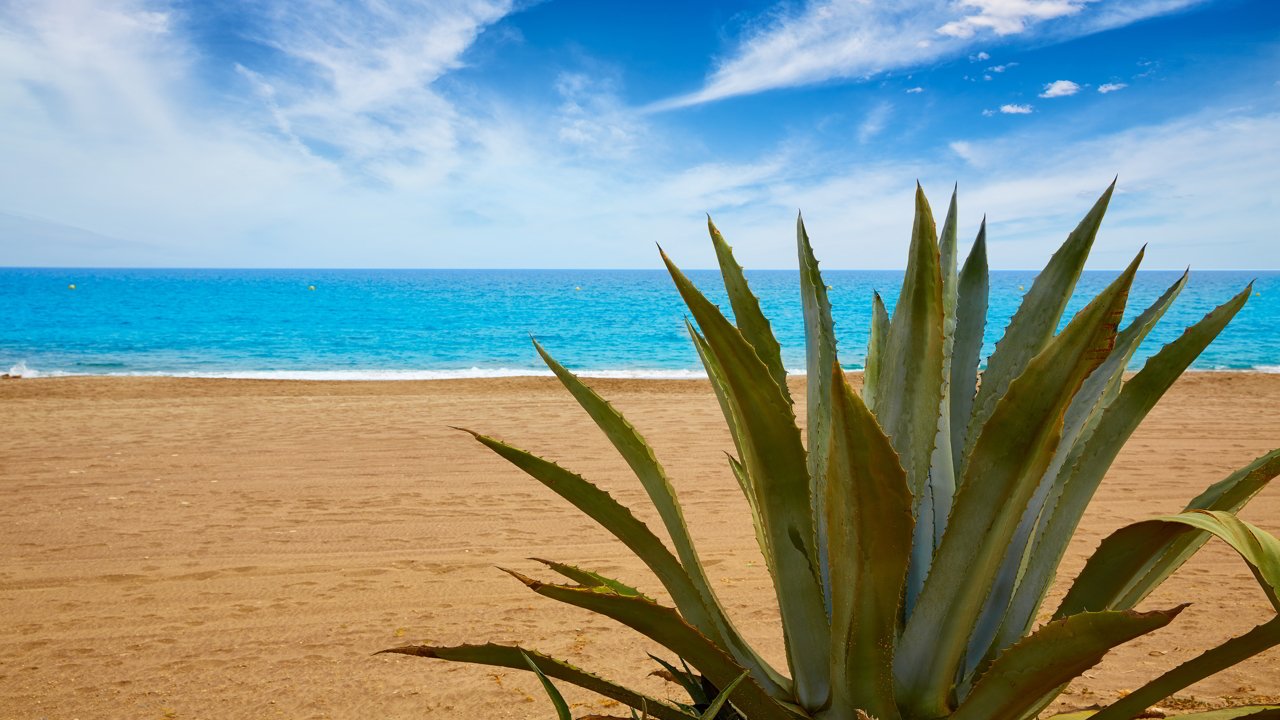 The Marina de la Torre Beach in Mojacar