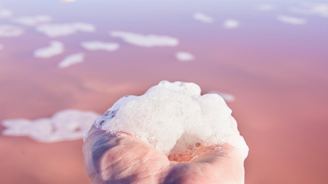 Salt extraction in the Laguna Rosa