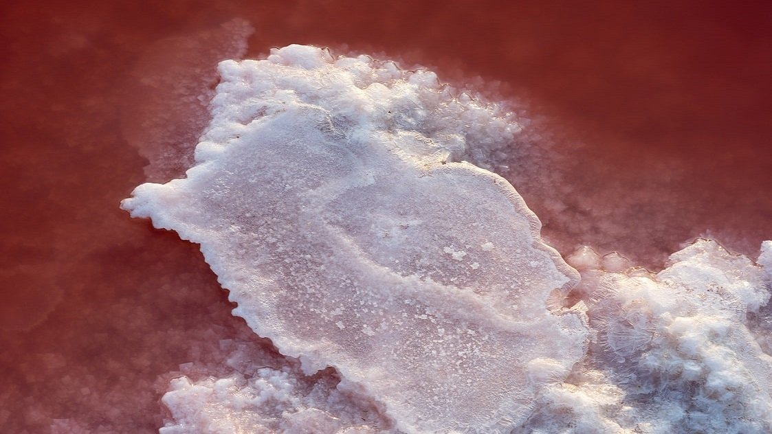Salt in the Pink Lagoon