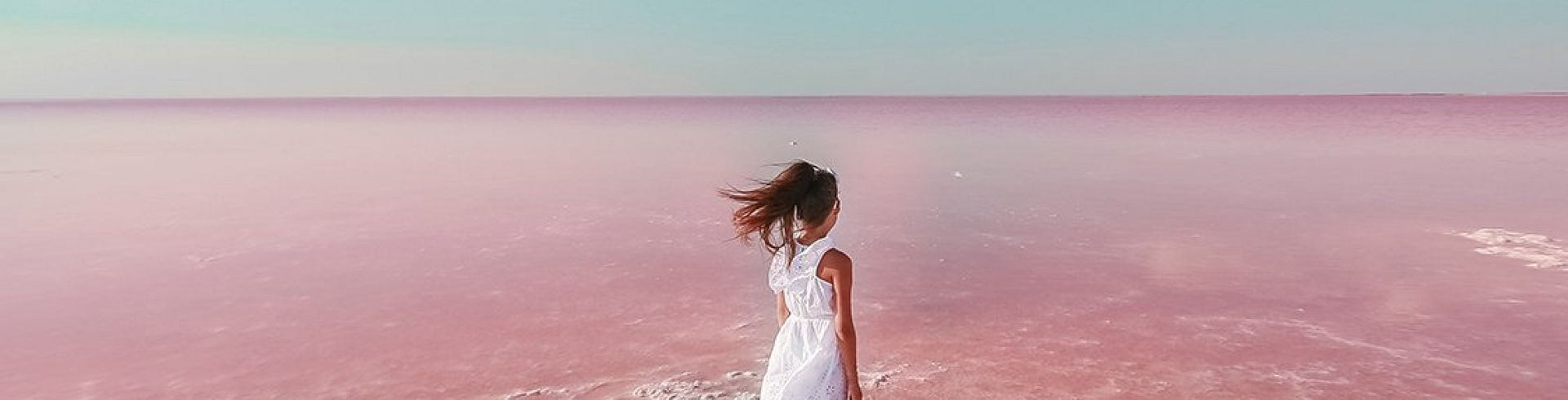De multiples activités dans le lac rose