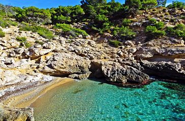 La cala Racó de Conills rodeada de naturaleza virgen