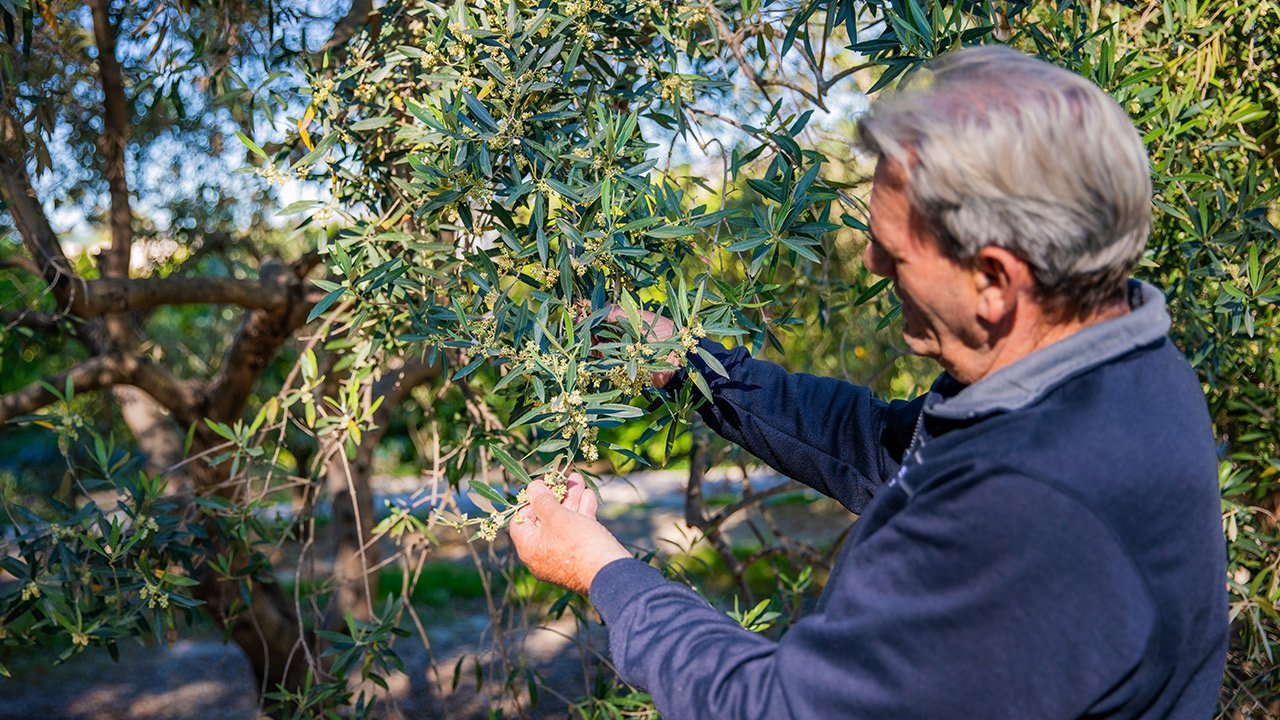 Gaspar Manero in the Finca El Clot