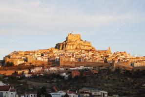 Big shot of Morella