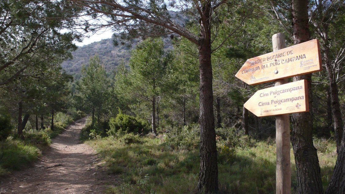 Puig Campana route with signs