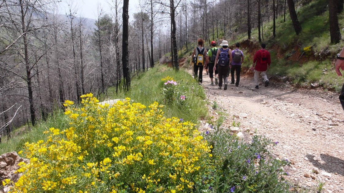 Hiking route on Puig Campana