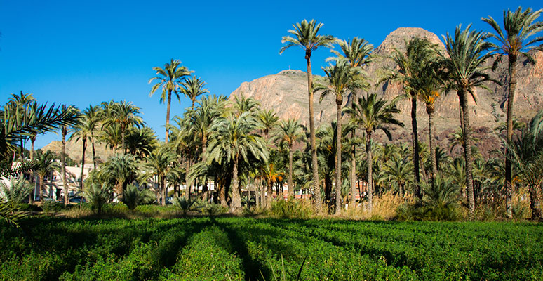 Orihuela depuis La Zenia