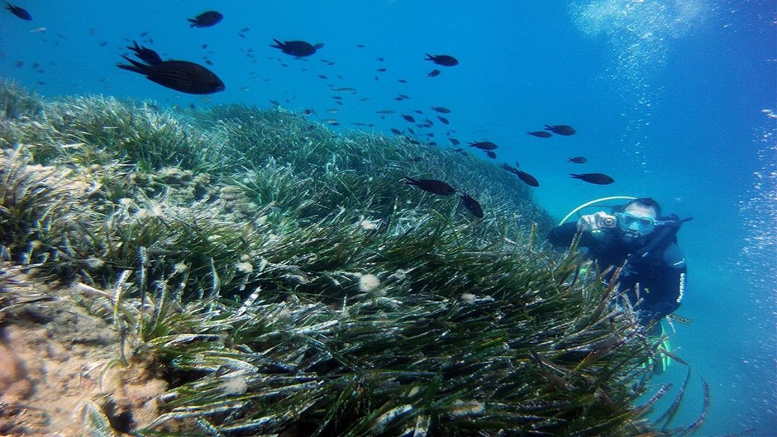 Diving in Mojácar