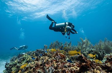 Les meilleurs spots de plongée à Almeria et Mojacar