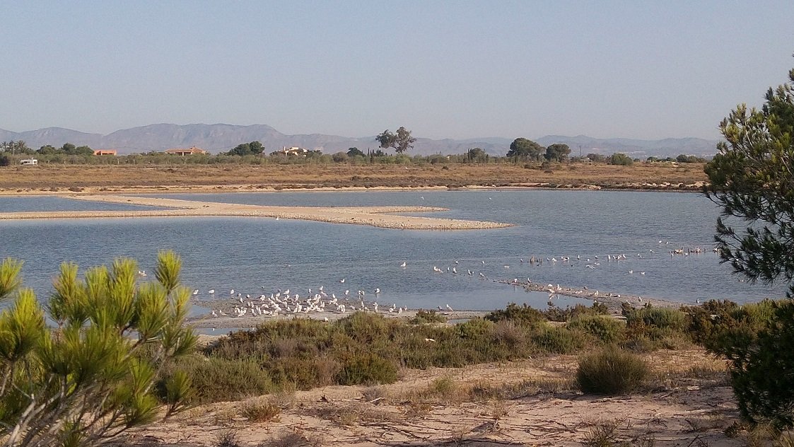Nature park Lagunas of La Mata