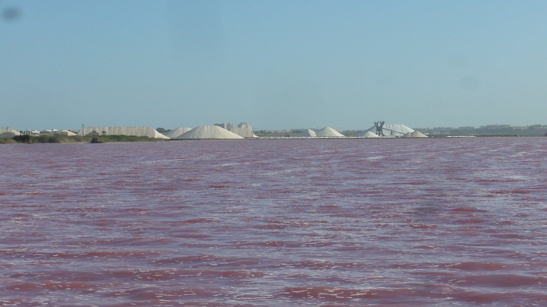 Visit the salt flats of Torrevieja