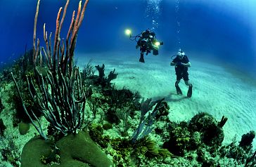 The Best Diving Areas in Almería and Mojácar