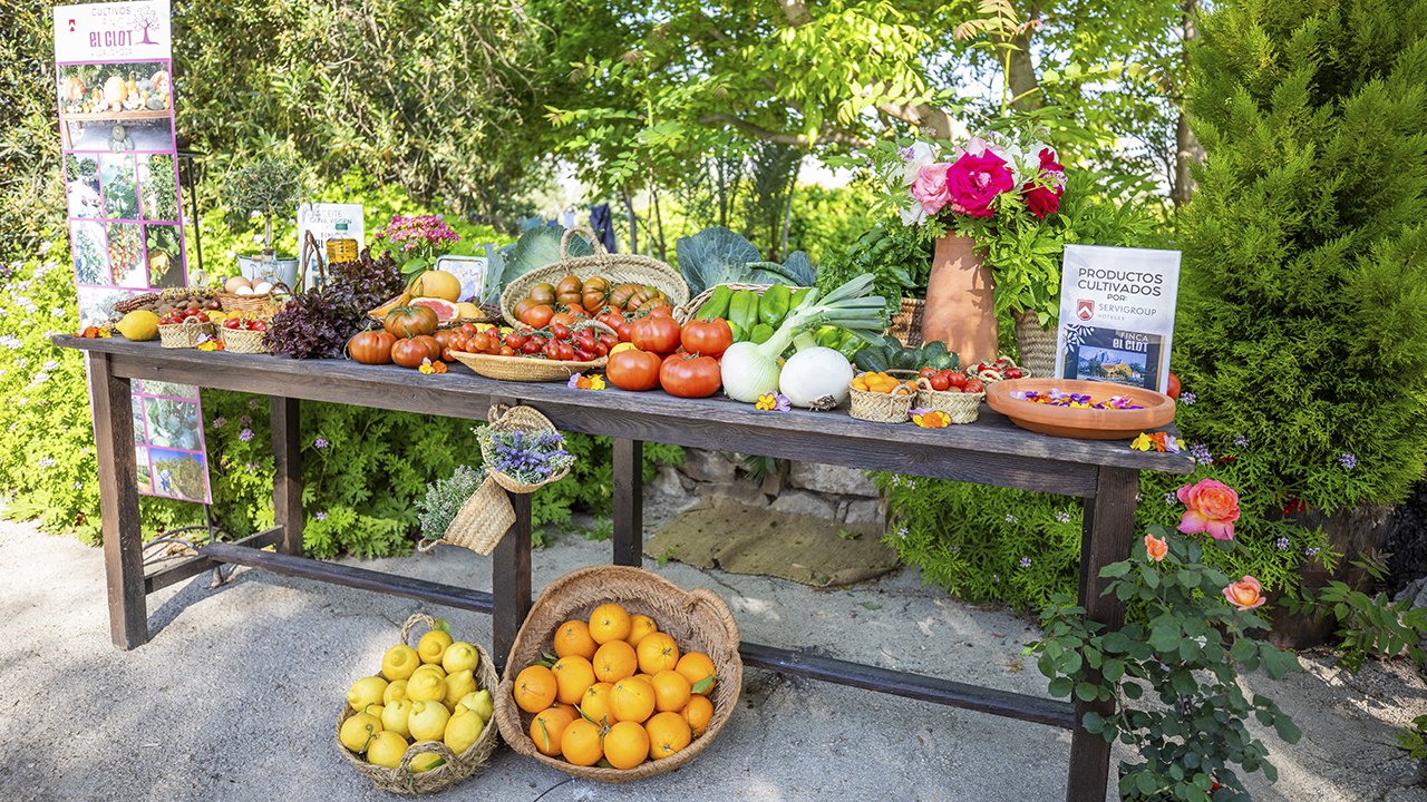 Seasonal Produce – El Clot vegetable garden