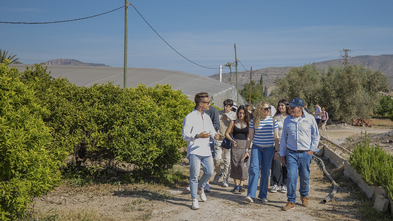 Visit to Orange Groves – El Clot vegetable garden