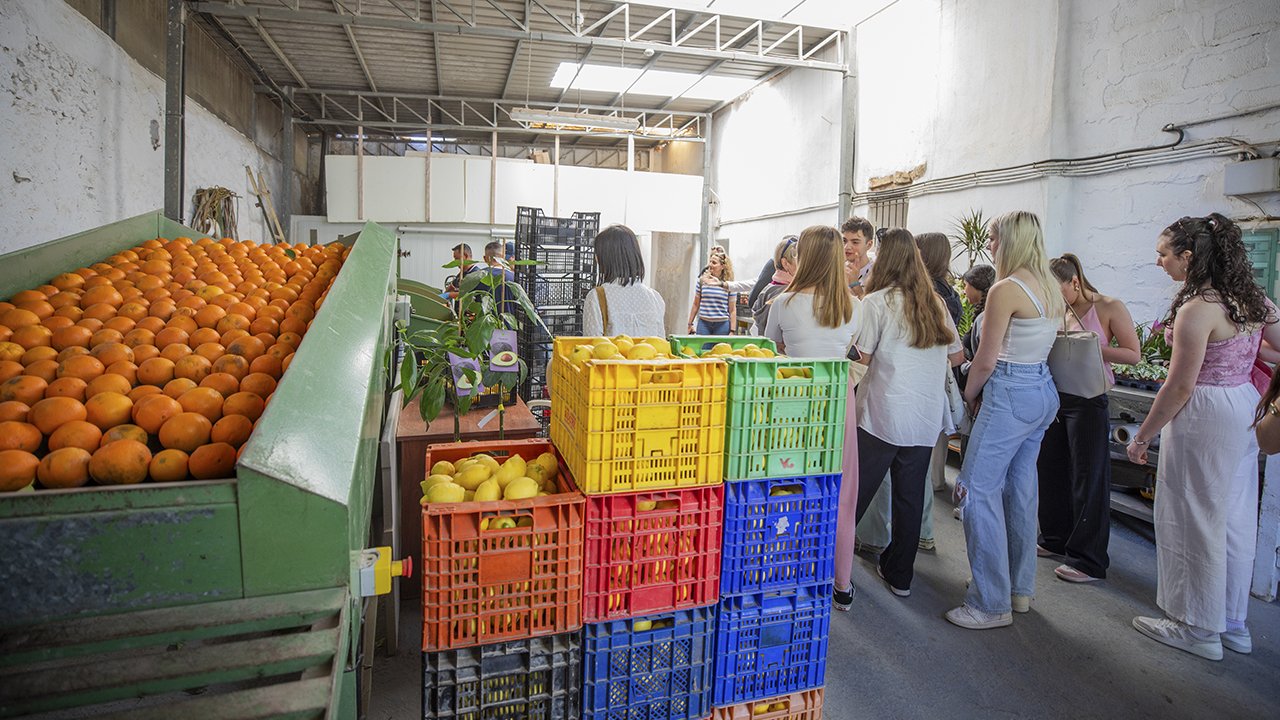 Orange Harvest – El Clot vegetable garden