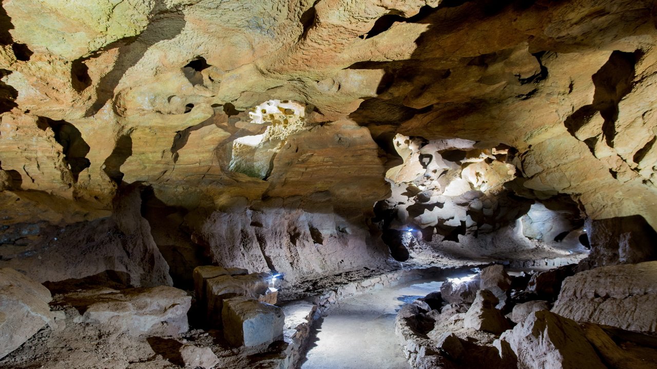 Cave paintings in the San José Caves