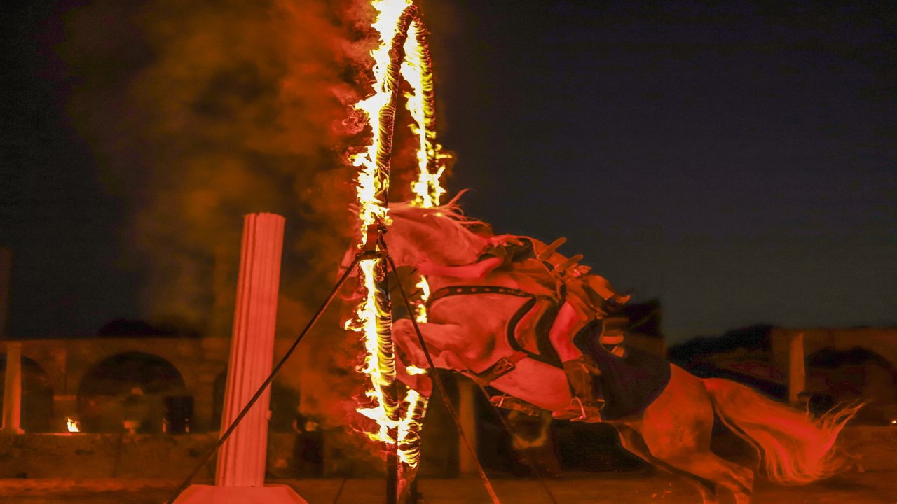 Horse through a ring of fire