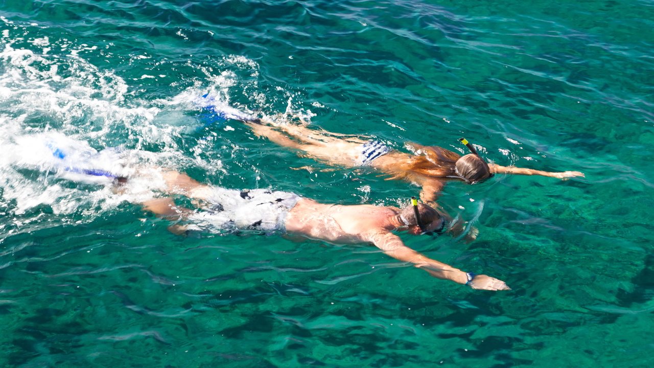 Bathers snorkelling